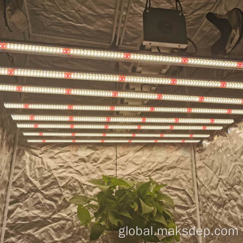 Industrial Professional Led Grow Lights